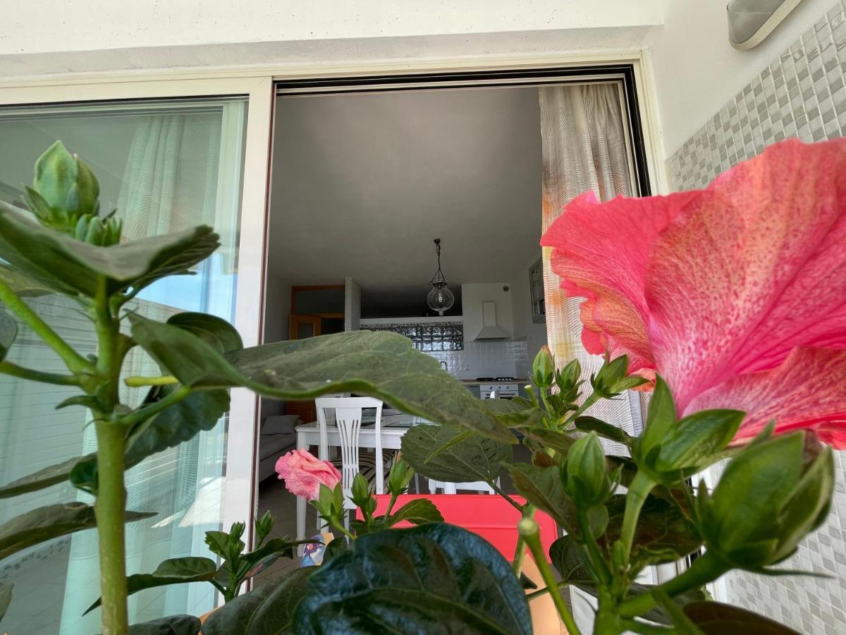 Appartement A Casa Di Silvia à Gambassi Terme Extérieur photo